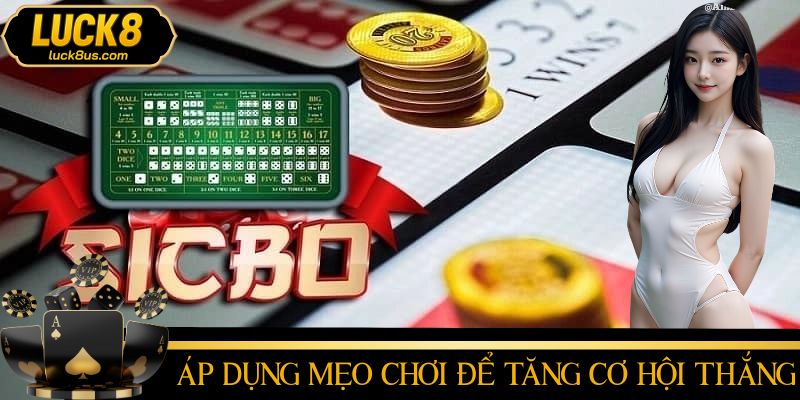 Chiến thuật nâng cao khả năng sinh lời hiệu quả trong Sicbo